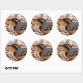 Schöner Varieté-Thrush auf dem Schneeberg Runder Aufkleber (Blatt)