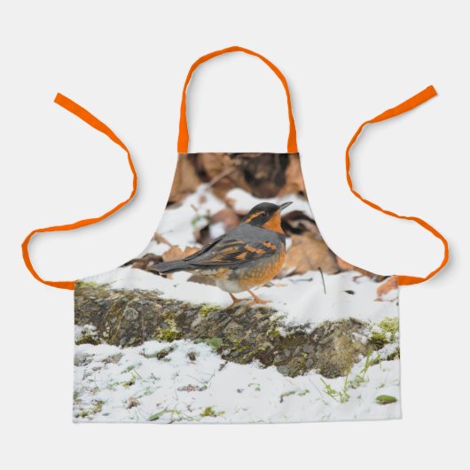 Schöner Varieté-Thrush auf dem Schneeberg Schürze (Vorderseite)