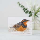 Schöner, variierter Schwanz-Songbird im fallenden Postkarte (Stehend Vorderseite)