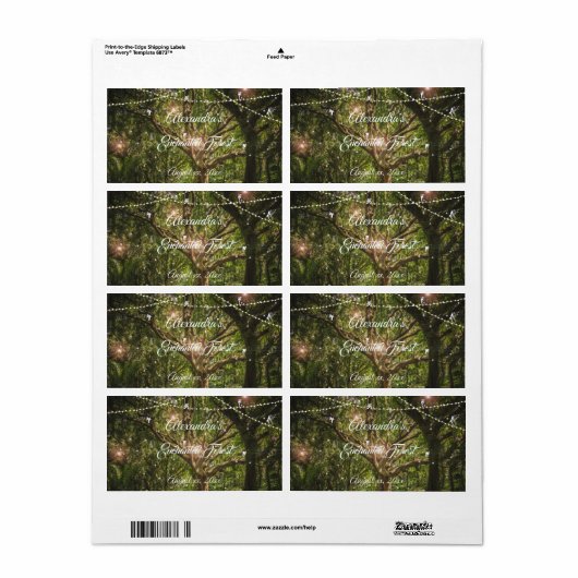 Schöner, verzauberter Wald, Fairies, Sweet 16, (Vorne)