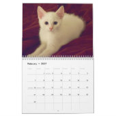 Schöner Vielzahl-Fotografie-Kalender 2018 Kalender (Feb 2027)