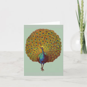 schöner Viktorianischer Pfauendruck