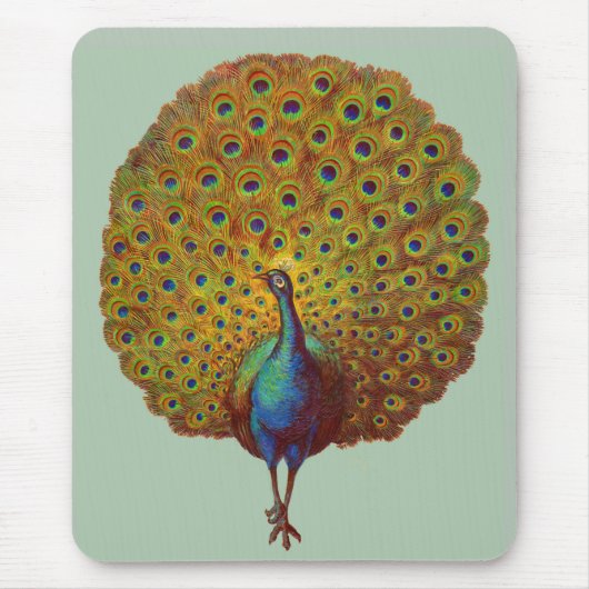 schöner Viktorianischer Pfauendruck Mousepad (Vorne)