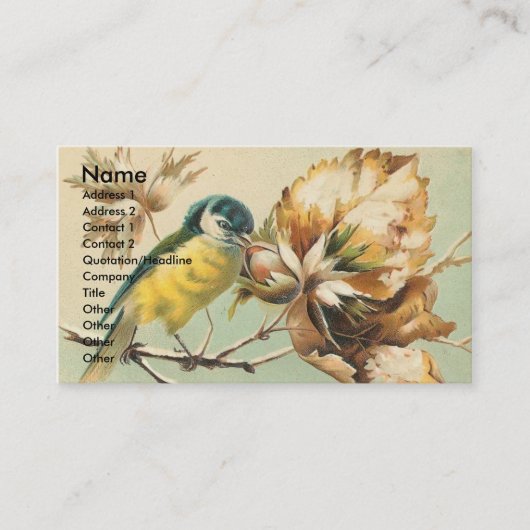 Schöner Vintage-Vogel Visitenkarte (Vorderseite)