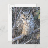 Schöner Vogel der Beute aus dem Eis bei Sonnenunte Postkarte (Vorne/Hinten)