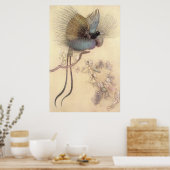 Schöner Vogel des Paradieses von Warwick Goble Pos Poster (Küche)