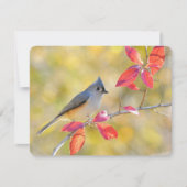 Schöner Vogel im Herbst Foto | Von Herzen Dankeskarte (Vorderseite)