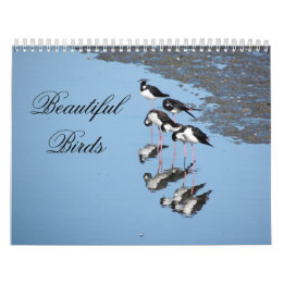 Schöner Vögel Kalender