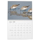 Schöner Vögel Kalender (Mär 2027)