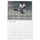 Schöner Vögel Kalender (Jan 2027)