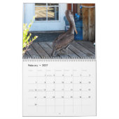 Schöner Vögel Kalender (Feb 2027)