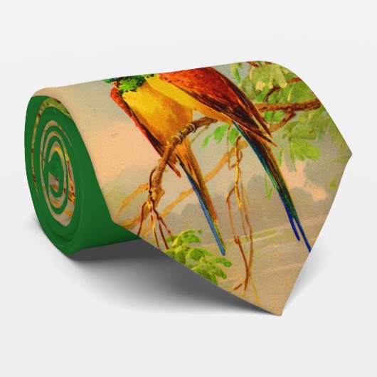 schöner Vogeldruck Krawatte (Gerollt)