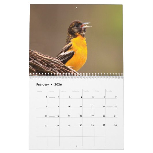 Schöner Vogelkalender im Hinterhof Kalender (Feb 2026)