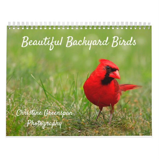 Schöner Vogelkalender im Hinterhof Kalender (Titelbild)