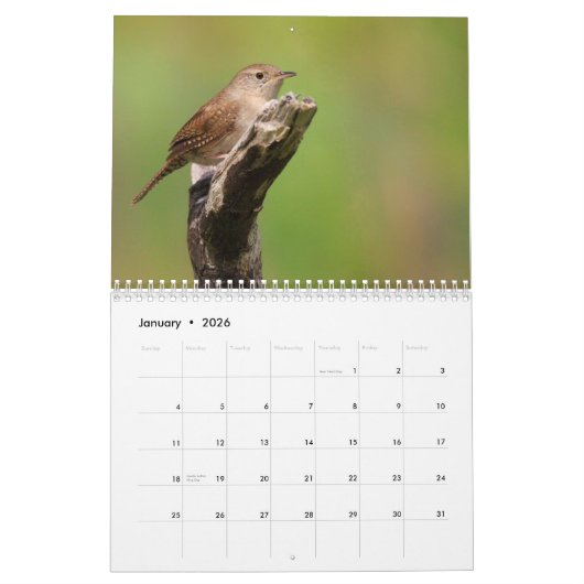 Schöner Vogelkalender im Hinterhof Kalender (Jan 2026)