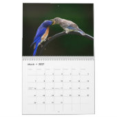 Schöner Vogelkalender im Hinterhof Kalender (Mär 2027)