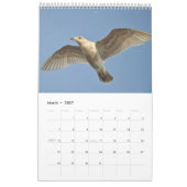 Schöner Vogelkalender Kalender (Mär 2027)