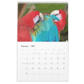 Schöner Vogelkalender Kalender (Feb 2027)