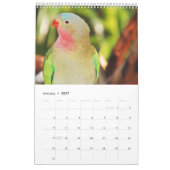 Schöner Vogelkalender Kalender (Jan 2027)