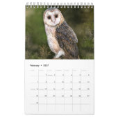Schöner Vogelkalender - Malerei Kalender (Feb 2027)