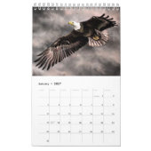 Schöner Vogelkalender - Malerei Kalender (Jan 2027)