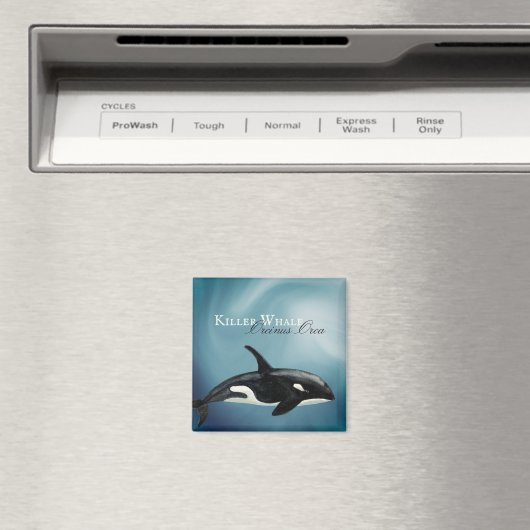 Schöner Wal, Orcinus Orca Magnet (In Situ (Geschirrspüler))