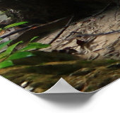 Schöner Wald Poster (Ecke)