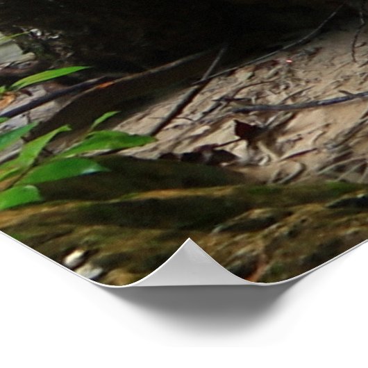 Schöner Wald Poster (Ecke)