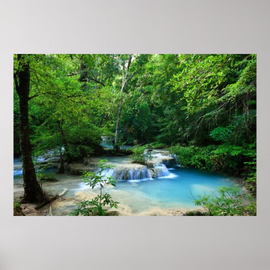 Schöner Wald Poster (Vorne)