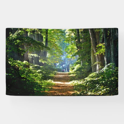 Schöner Waldweg im Sommer Banner (Horizontal)