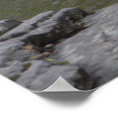 Schöner Wasserfall im Appalachen Poster (Ecke)