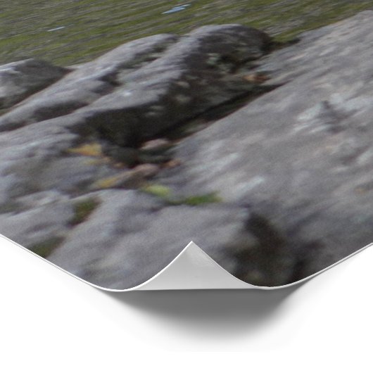 Schöner Wasserfall im Appalachen Poster (Ecke)