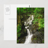 Schöner Wasserfall im Grünen Postkarte (Vorne/Hinten)