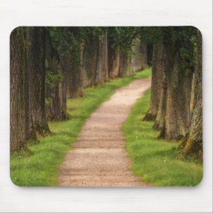 Schöner Weg durch die Bäume Mousepad