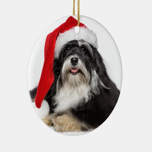 Schöner WeihnachtenHavanese Hund mit Keramik Ornament (Rechts)