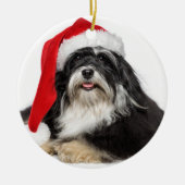 Schöner WeihnachtenHavanese Hund mit Keramik Ornament (Vorne)