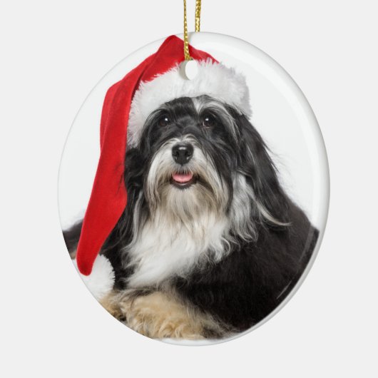 Schöner WeihnachtenHavanese Hund mit Keramik Ornament (Links)