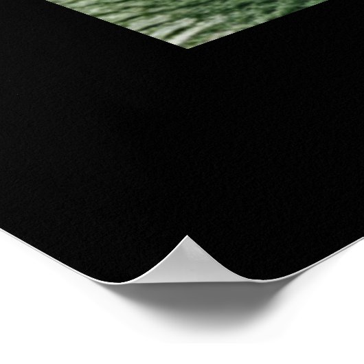 Schöner Weihnachts-Roter Kardinal Poster (Ecke)