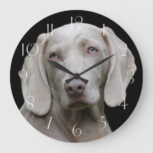 Schöner Weimaraner Jagdhund Große Wanduhr