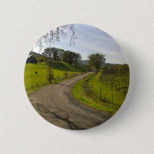 Schöner Weinberg im Napa Tal Button