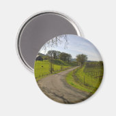 Schöner Weinberg im Napa Tal Magnet (Vorderseite/Rückseite)