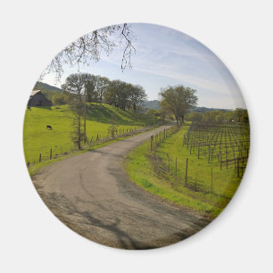 Schöner Weinberg im Napa Tal Magnet