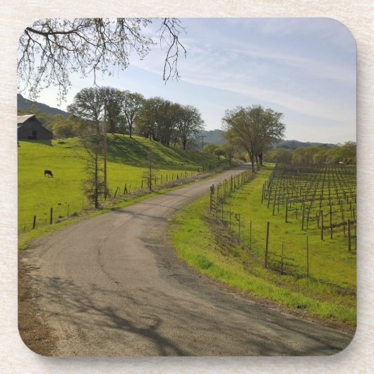 Schöner Weinberg im Napa Tal Untersetzer (Vorderseite)