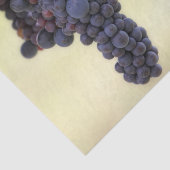 Schöner Weinberg mit hangenden Früchten Seidenpapier (Detail)