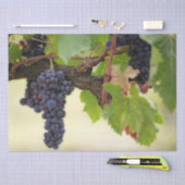 Schöner Weinberg mit hangenden Früchten Seidenpapier (Handwerk)