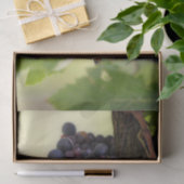 Schöner Weinberg mit hangenden Früchten Seidenpapier (Geschenk)