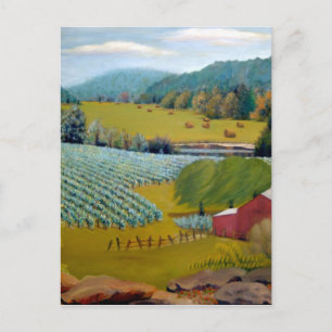 Schöner Weinkeller auf dem Augusta Missouri Farm Postkarte