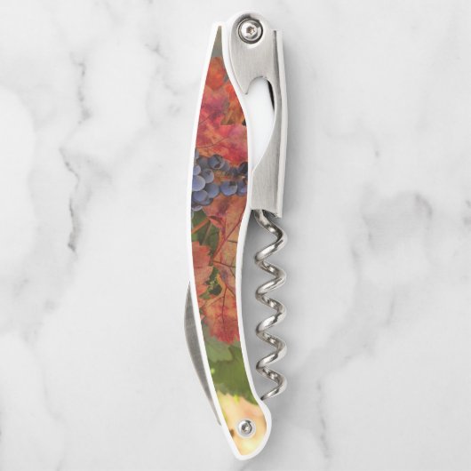 Schöner Weinkeller mit Trauben und Weinberg Kellnermesser (Rückseite)