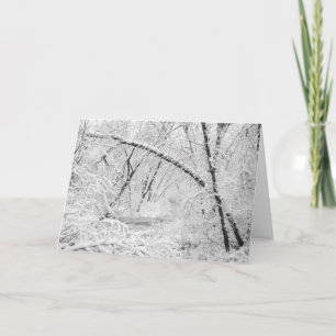 Schöner, weißer, bewaldeter Bach aus den 50er Jahr Feiertagskarte