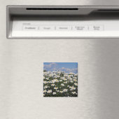 Schöner weißer Garten Magnet (In Situ (Geschirrspüler))